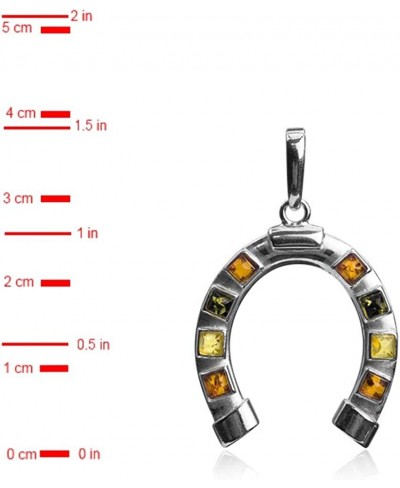 Sterling Silver Multicolor Amber Horseshoe Luck Pendant $24.34 Pendants & Coins