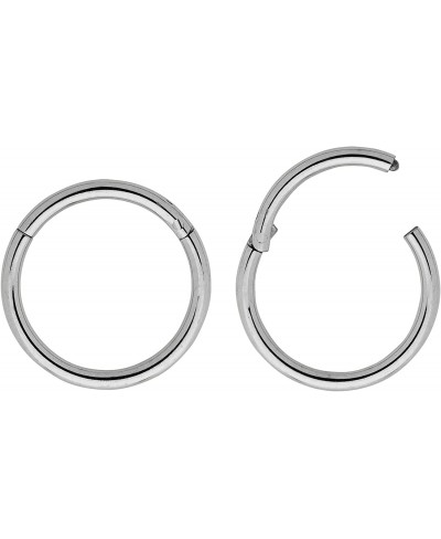 2 Pcs G23 Titanium 20G (Very Thin) Hinged Hoop Segment Nose Ring Sleeper Earrings 5mm - 6mm - 7mm - 8mm - 9mm - 10mm $17.52 Hoop