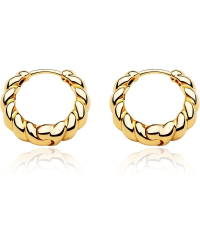 14K Gold Plated Huggie Earrings for Women Personality Simplicity Twisted Chain Hoop Earrings Hypoallergenic Designer Ear Ring...