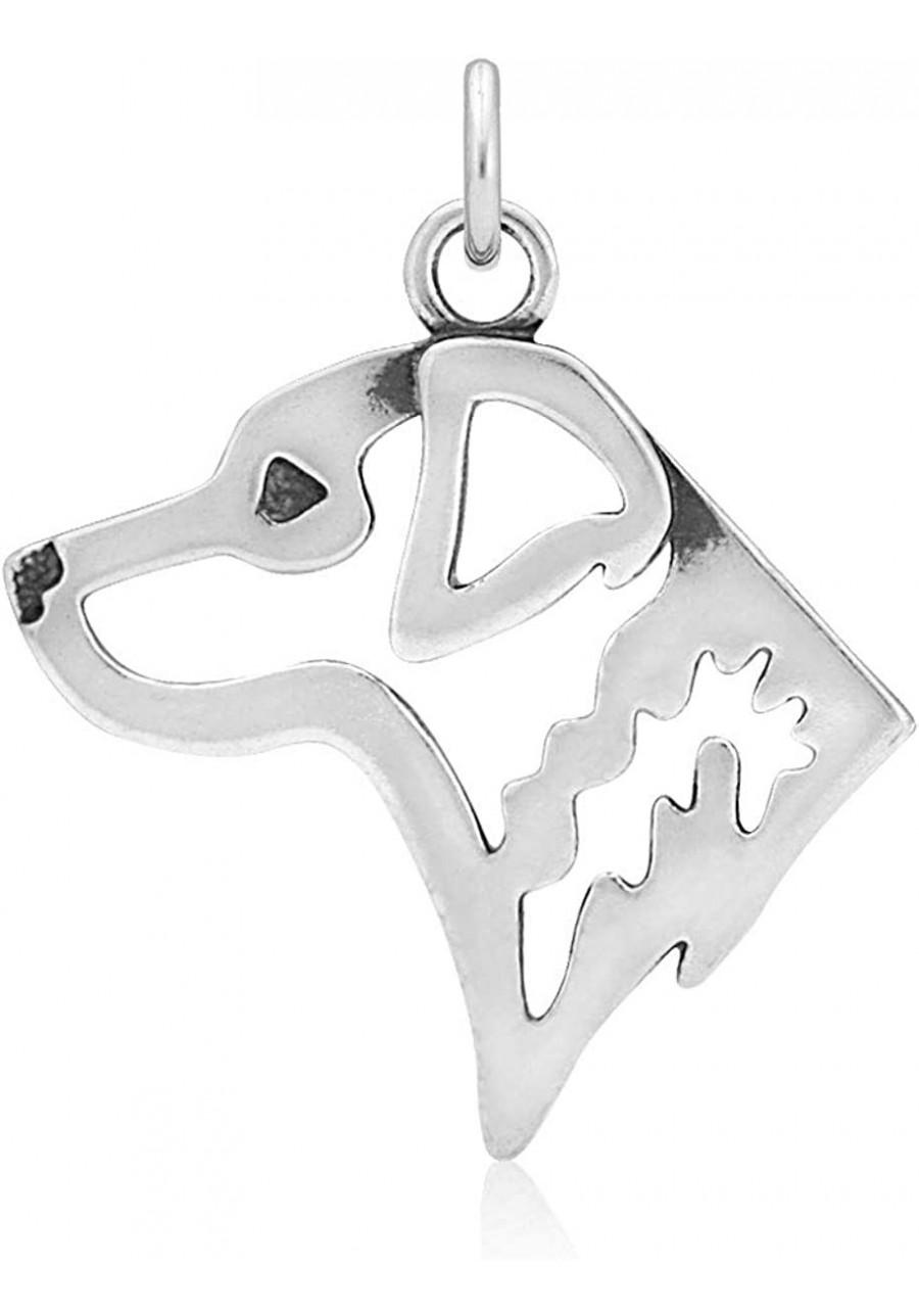 Sterling Silver Chesapeake Bay Retriever Pendant Head $43.37 Pendants & Coins