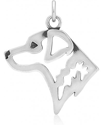 Sterling Silver Chesapeake Bay Retriever Pendant Head $43.37 Pendants & Coins