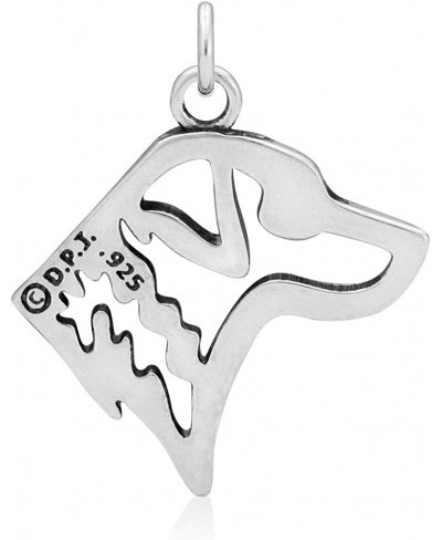 Sterling Silver Chesapeake Bay Retriever Pendant Head $43.37 Pendants & Coins