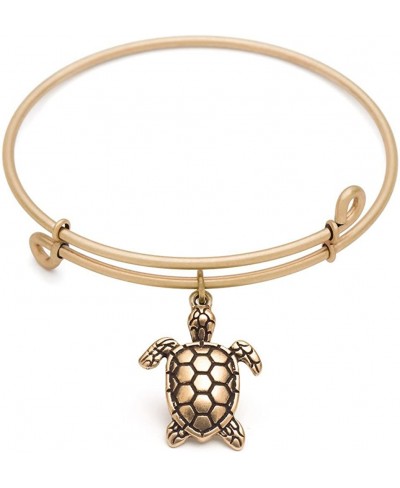 220067 Sea Turtle Bangle Antique Gold Color Finish $26.43 Bangle