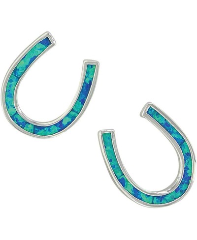Womens Montana smith River Lights Simply Lucky Horseshoe Post Earrings Silver $46.52 Stud