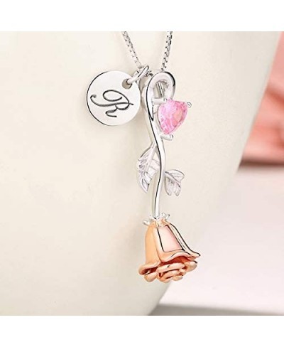 Personalized Rose Heart Birthstone Necklace with A Initial Round Tag 925 Sterling Silver for Her Women Valentine?¡¥ Day Gifts...