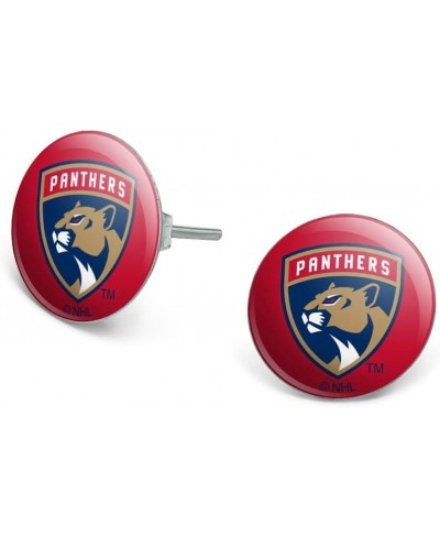 NHL Florida Panthers Logo Novelty Silver Plated Stud Earrings $9.29 Stud