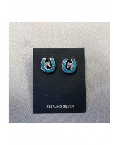 Turquoise Gemstone Horseshoe Southwestern Style Sterling Silver Post Back Stud Earrings $43.86 Stud