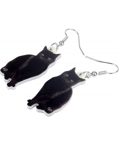 Acrylic Cute Black Cat Earrings Elegant Pets Drop Dangle for Women Girls Teens Charms Gifts $8.83 Drop & Dangle