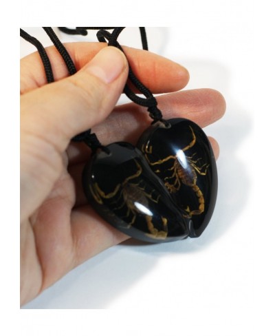 SP2214 Necklace Black/Gold $14.27 Pendant Necklaces