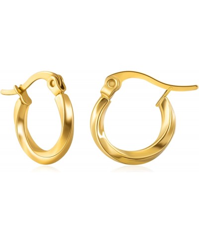 Small Twist Hoop Earrings Stainless Steel Hypoallergenic Round Ripple Hoops in 14k Gold Plated Cute Geometric Loop Huggie Cli...