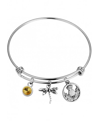 Dragonfly in Amber Inspired Bracelet Inspired Jewelry Scottish Gift $13.83 Pendants & Coins