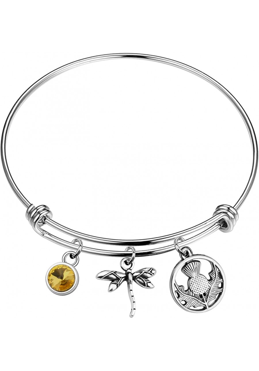 Dragonfly in Amber Inspired Bracelet Inspired Jewelry Scottish Gift $13.83 Pendants & Coins