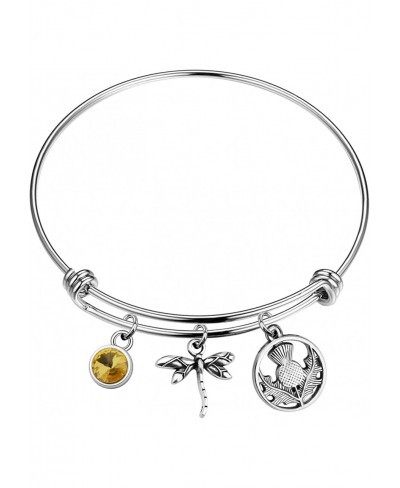 Dragonfly in Amber Inspired Bracelet Inspired Jewelry Scottish Gift $13.83 Pendants & Coins