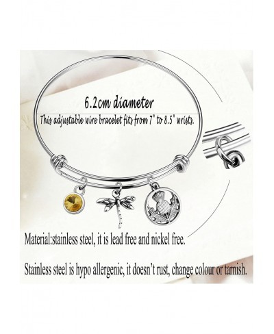 Dragonfly in Amber Inspired Bracelet Inspired Jewelry Scottish Gift $13.83 Pendants & Coins