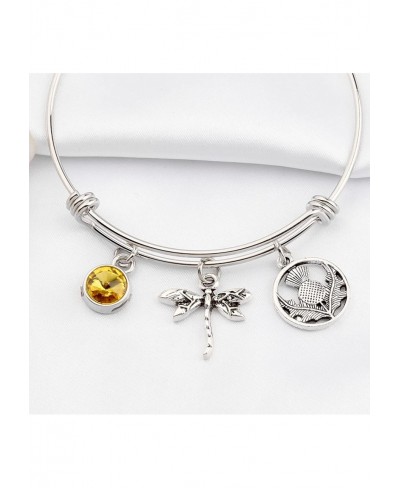 Dragonfly in Amber Inspired Bracelet Inspired Jewelry Scottish Gift $13.83 Pendants & Coins