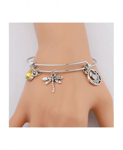 Dragonfly in Amber Inspired Bracelet Inspired Jewelry Scottish Gift $13.83 Pendants & Coins