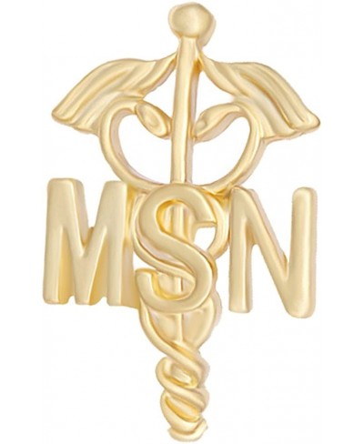 Prestige Emblem Pin BSN MSN Nurse Doctor Brooch Pins $13.19 Brooches & Pins