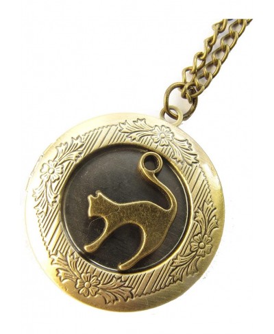 Cat Locket Pet Locket cat Locket Necklace Cat Jewelry Bronze Cat Locket Cat Necklace Animal Jewelry $8.84 Lockets
