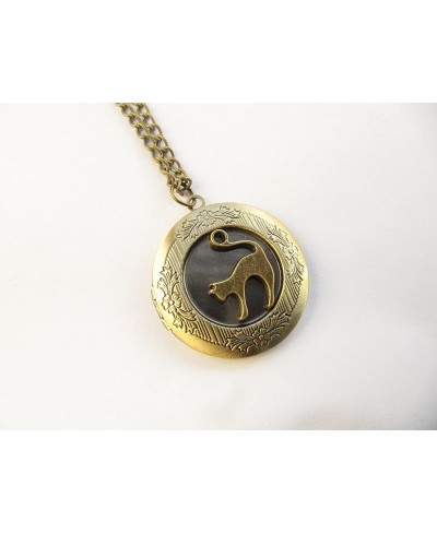 Cat Locket Pet Locket cat Locket Necklace Cat Jewelry Bronze Cat Locket Cat Necklace Animal Jewelry $8.84 Lockets