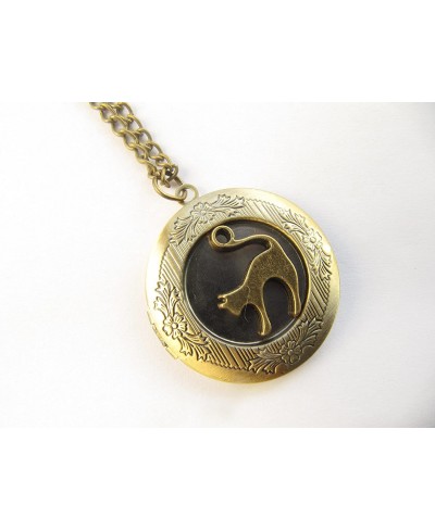 Cat Locket Pet Locket cat Locket Necklace Cat Jewelry Bronze Cat Locket Cat Necklace Animal Jewelry $8.84 Lockets