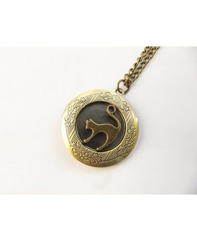 Cat Locket Pet Locket cat Locket Necklace Cat Jewelry Bronze Cat Locket Cat Necklace Animal Jewelry $8.84 Lockets