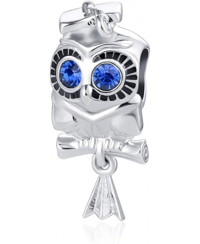 Wise Owl Graduation Charm for Charm Bracelets Necklace Women Charm Bracelet Birthday Gift $8.60 Charms & Charm Bracelets